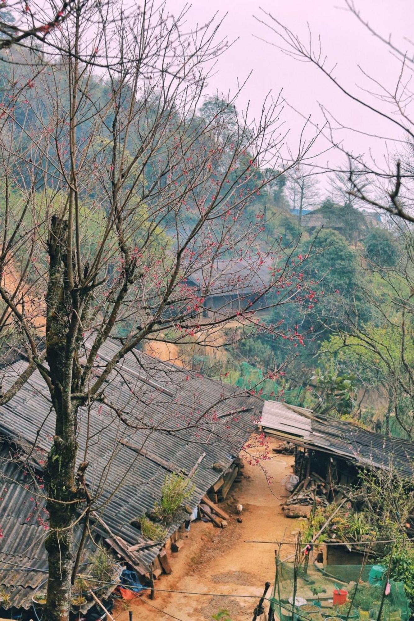 Bac Yen Nha Hang Homestay Pho Nui מראה חיצוני תמונה